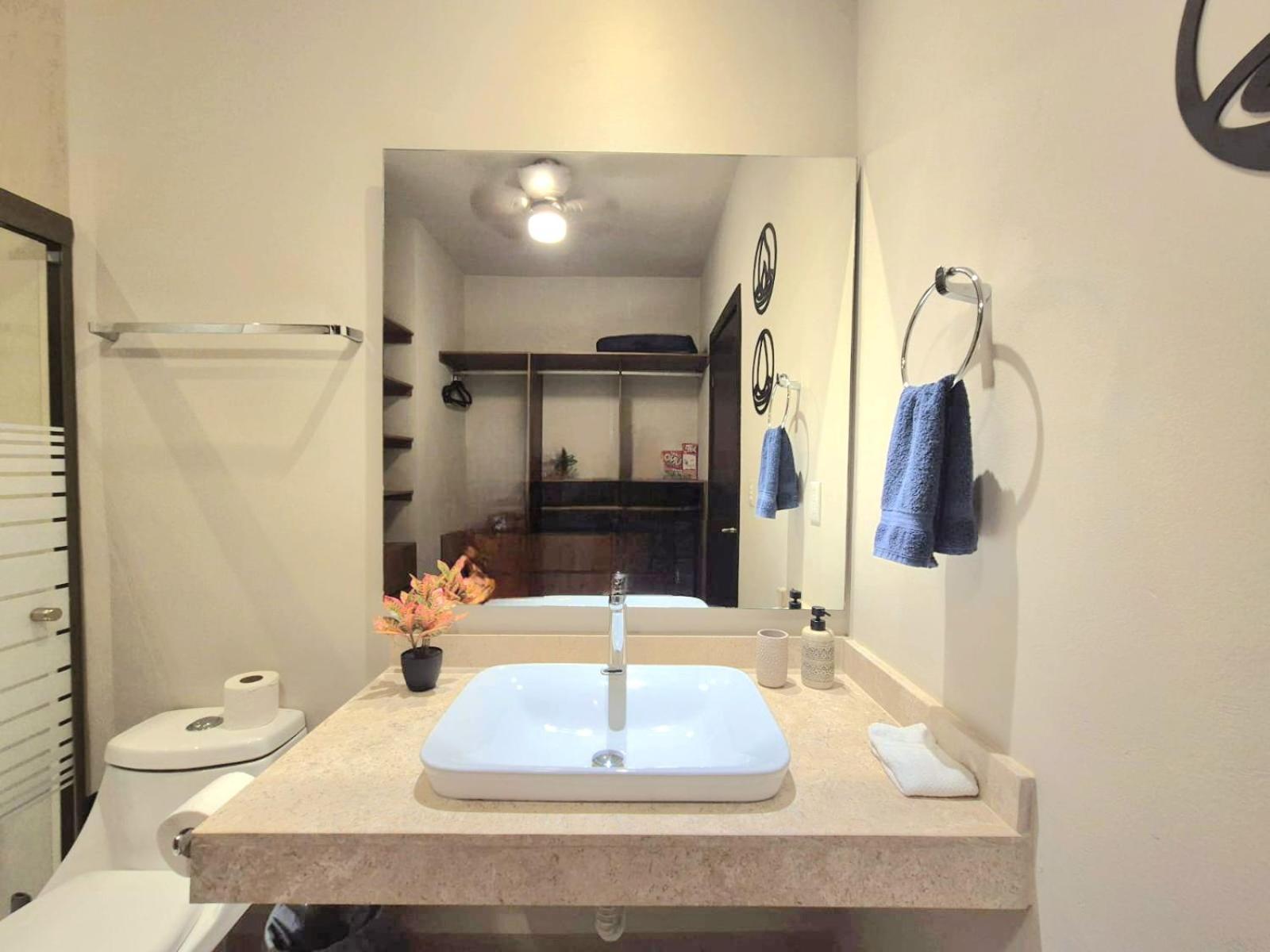 Encantador Departamento Con Vista A La Piscina Y A 10 Minutos De La Playa! * Playa del Carmen