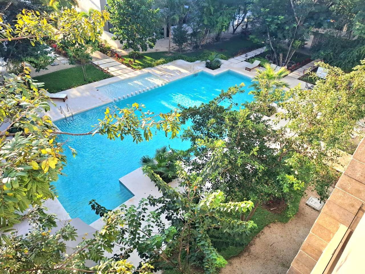 Apartamento Encantador Departamento Con Vista A La Piscina Y A 10 Minutos De La Playa! Playa del Carmen